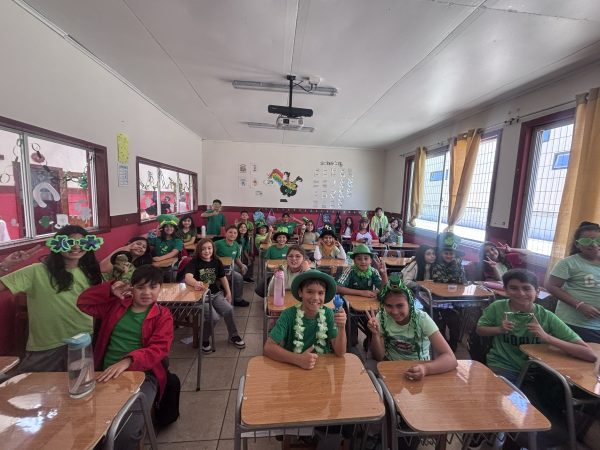 St Patricks Day 4